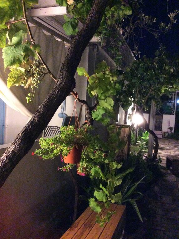 Kimera Beach Apartments Vieste Kültér fotó
