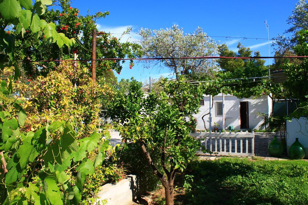 Kimera Beach Apartments Vieste Kültér fotó